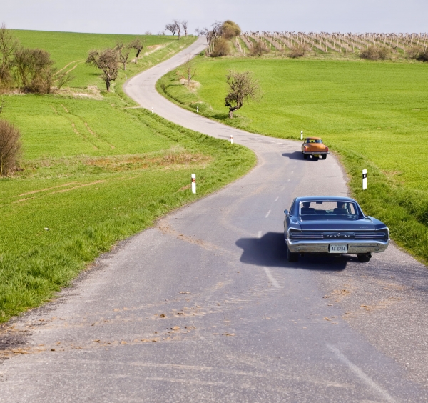 Creation of A Goat in the Road!: Step 7